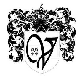 V logo