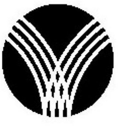 V logo