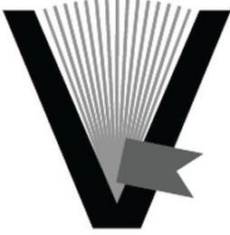 V logo