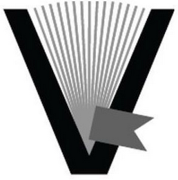 V logo