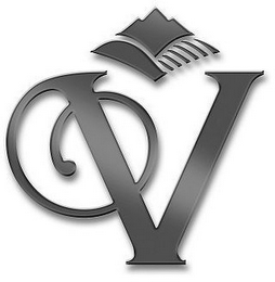 V logo
