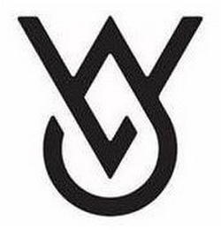 V logo