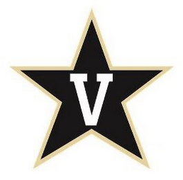 V logo