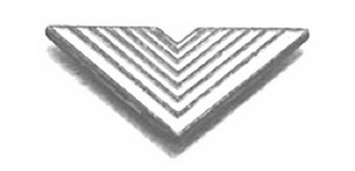 V logo