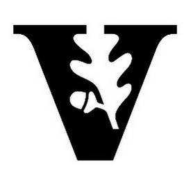 V logo