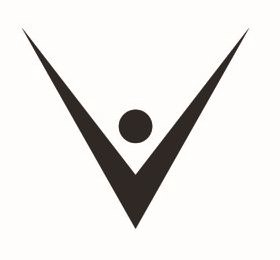 V logo