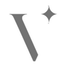 V logo