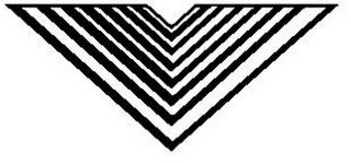 V logo