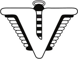 V logo