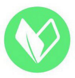 V logo