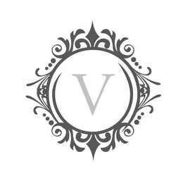 V logo