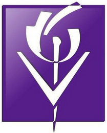 V logo