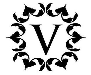 V logo