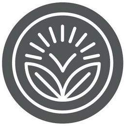 V logo