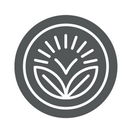 V logo