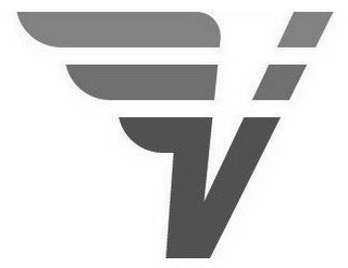 V logo