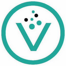 V logo