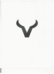 V logo
