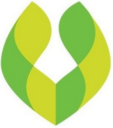 V logo