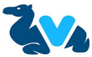 V logo