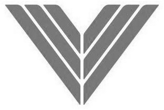 V logo