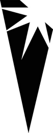 V logo