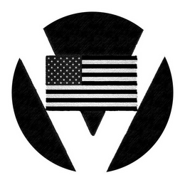 V logo