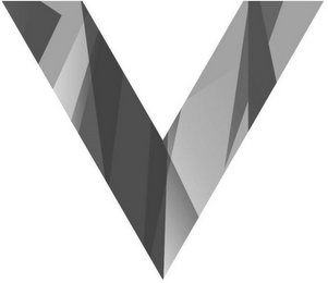 V logo