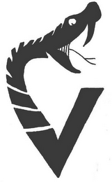 V logo