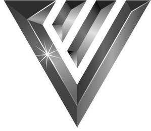 V logo