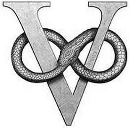 V logo