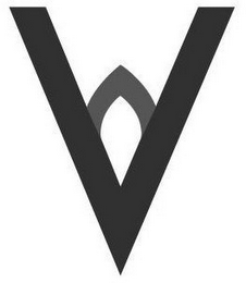V logo