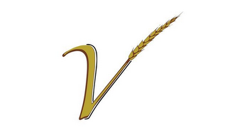 V logo