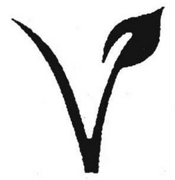 V logo