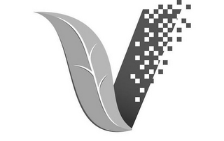 V logo