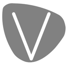V logo
