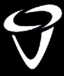 V logo