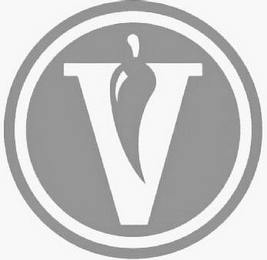 V logo