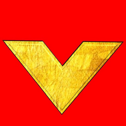 V logo