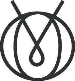 V logo