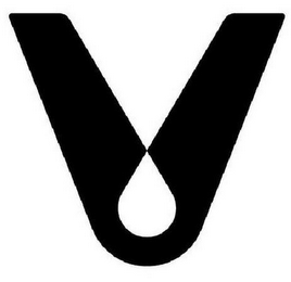 V logo