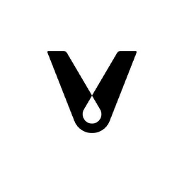 V logo