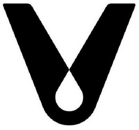 V logo