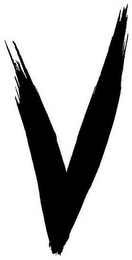 V logo