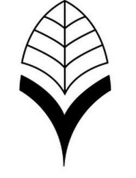 V logo