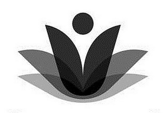 V logo