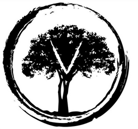 V logo