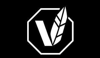 V logo