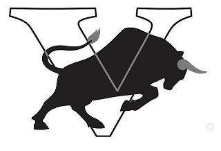 V logo