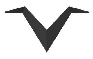 V logo